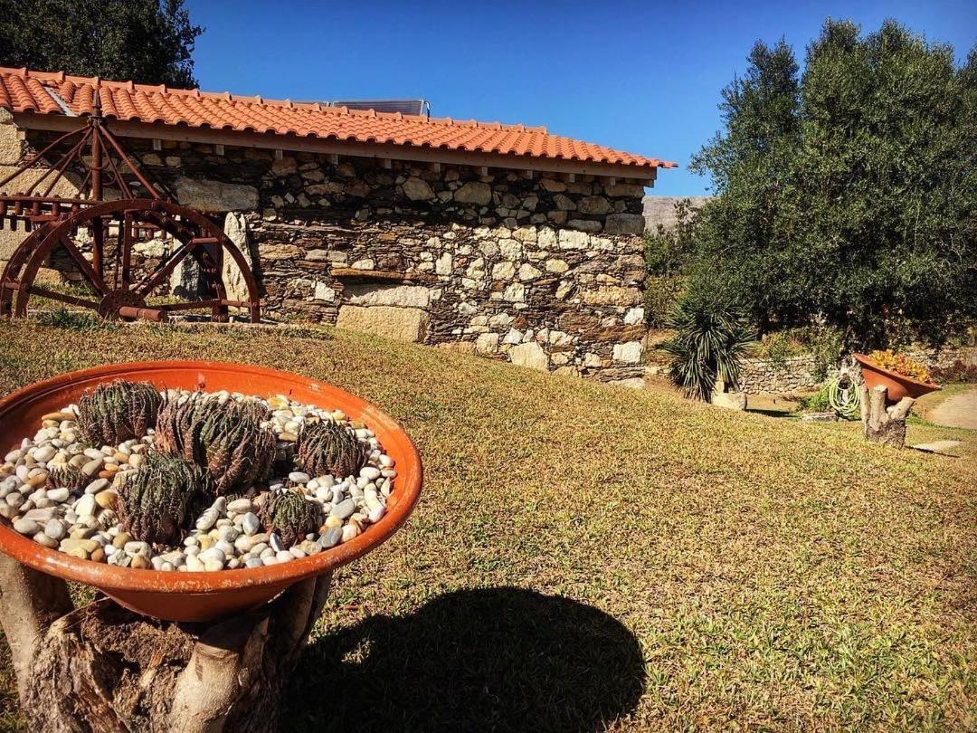 Quinta Do Fortunato فيانا دو كاستيلو المظهر الخارجي الصورة
